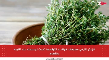 الزعتر كنز في مطبخك: فوائد لا تتوقعها تحدث لجسمك عند تناوله بانتظام